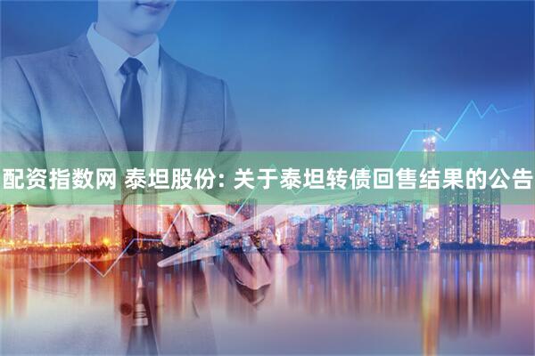 配资指数网 泰坦股份: 关于泰坦转债回售结果的公告